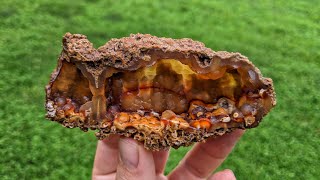 What's Inside This 20 Million Year Old Fossil Coral?! Cutting Agate Geodes Found In Florida!