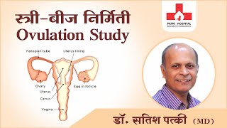 Ovulation Study स्त्री-बीज निर्मिती (Ovulation)