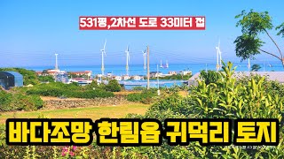 바다조망.2차선 도로접한 한림읍 귀덕리 토지 한림읍 토지매물