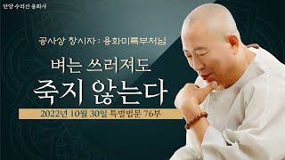 76부: 환생하려면 광명의 빛이 있어야 한다 -벼는 쓰러져도 죽지 않는다 (용화 미륵공사상 특별 법문76부 221030)