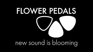 Flower Pedals - Introduction