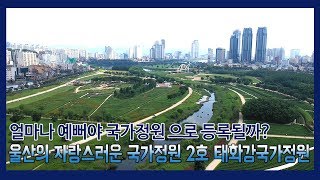 울산의 자랑스러운 국가정원 2호 태화강국가정원