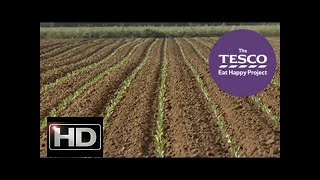 Budding Broccoli with farmer Mark from Lincolnshire (Trailer)@