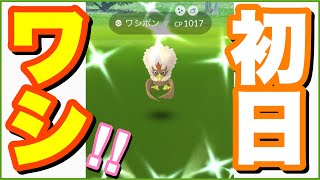 【実装初日】色違いワシボンGETして進化させてみた【Shiny Rufflet】【ポケモンGO】203