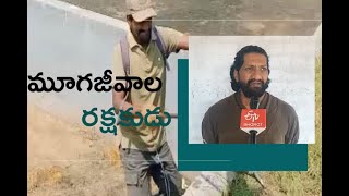 30 ఏళ్లుగా మూగజీవులను రక్షిస్తూ..!