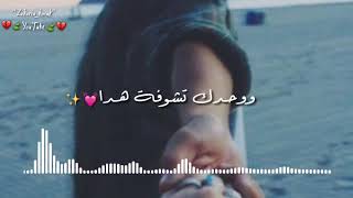 ادهم النابلسي -  بتعرف شعور لما تلتقي صدفة بحدا   حالات واتساب ستوريات ( فيديو كليب ) حالات انستغرام