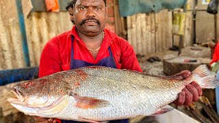 KASIMEDU 🔥 SPEED SELVAM | KOORAKATHALA FISH CUTTING VIDEO | 4K VIDEO | KM FISH CUTTING