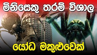 මිනිසෙකු තරම් විශාල යෝධ මකුළුවා | Giant Spider |