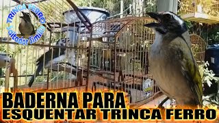 BADERNA PARA ESQUENTAR TRINCA FERRO