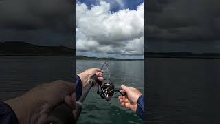 Spinning Tuna with TT Hustler Sinking Stickbait #fishing #shorts #tuna #tunafishing #stickbait #lure