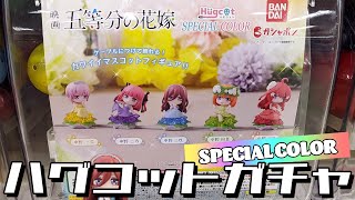 ウェディングドレスが特別仕様になってリニューアル！ハグコット 五等分の花嫁 SPECIAL COLORガチャ回してみた