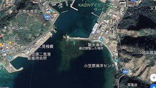 小笠原で夜釣り