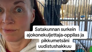 Satakunnan surkein ajokonekuljettaja-opiskelija ja Pikkumetsäni uudistushakkuu