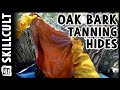 🌳 Oak Bark Tanning Cattle and Sheep Hides #7