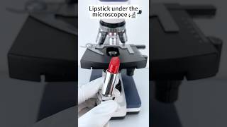 Lipstick Under The Microscope A Hidden World Under The Microscope Bacteria Close Up