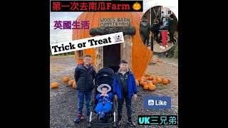 [英國生活🇬🇧] [UK三兄弟] 第一次喺英國🇬🇧去南瓜Farm 🎃\u0026 Trick or Treat 👻. 英國親子日 ~ 萬聖節! LCKBoyz Go Go Go!!! 🤗