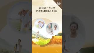 盼望故乡都是有理由的 #shorts