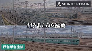 113系L06編成 SHINOBI-TRAIN\u0026緑色単色塗装 比較 #Shorts