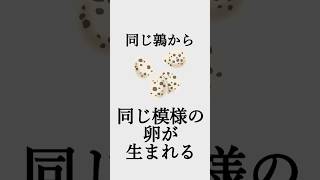 生き物に関する雑学　#雑学 #雑学部 #trivia #雑学王 #会話のネタ # 面白い#豆知識 #知識 #雑学大好き #暇つぶし