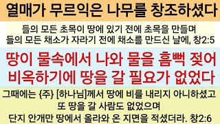 즉시 먹을 수 있는 잘 익은 과일나무와 성장된 채소를 창조하셨다