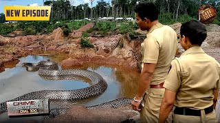 Police found such things from the long snake which exposed the big racket. Crime Patrol Dial | New Ep