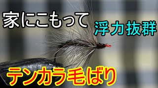 テンカラ　毛ばり　浮力抜群（外出自粛）（ＴＥＮＫＡＲＡ）