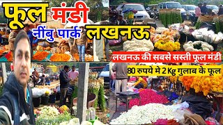 Lucknow Flower Market |Lucknow ki phool mandi |लखनऊ फूल मंडी |Lucknow Flower Mandi