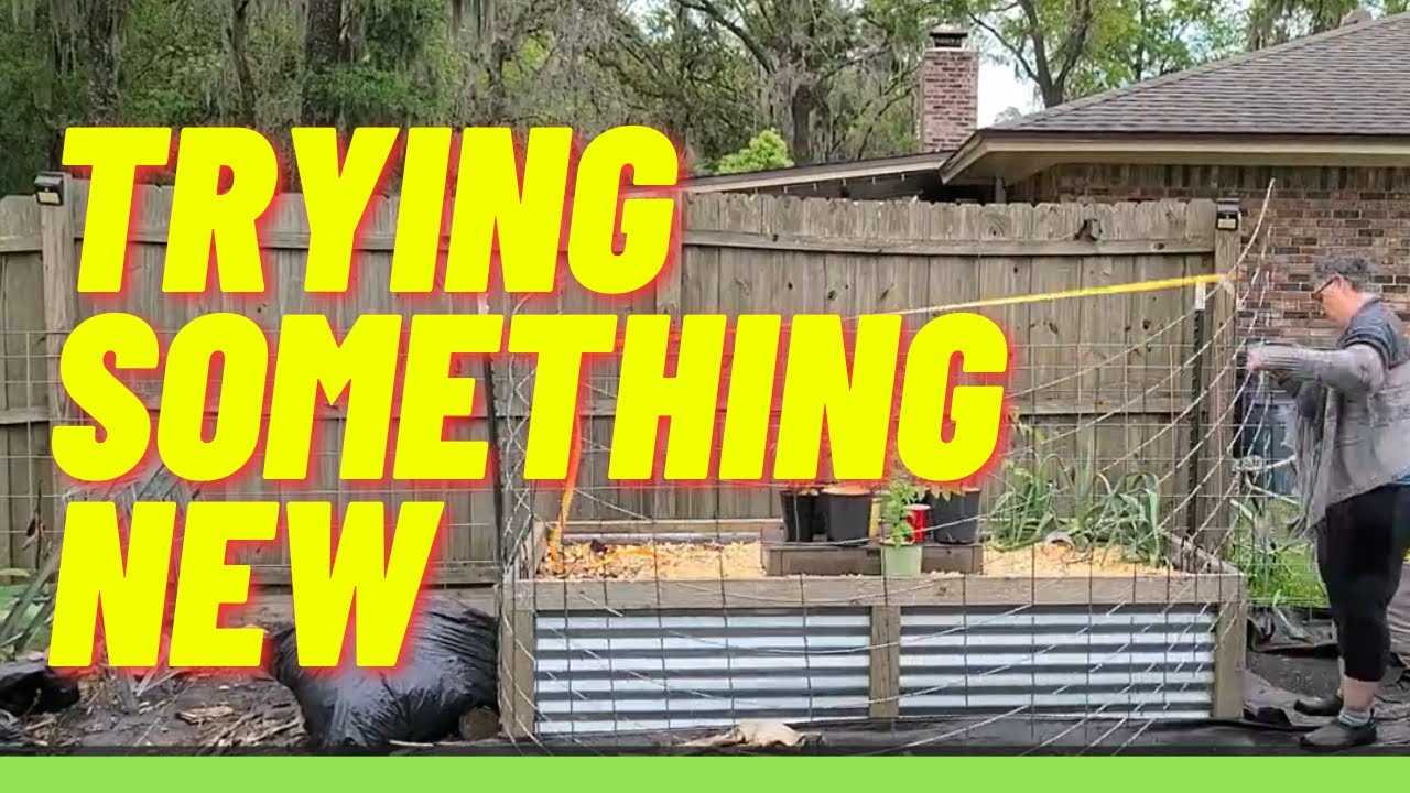 How I Made A Diy Cattle Panel Trellis Youtube How I Made A Diy Cattle Panel Trellis Youtube