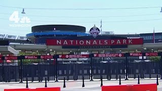 BetMGM Sportsbook Opens at at Nats Park | NBC4 Washington