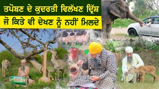 Wonderful Natural Beauty of TAPOBAN (Amazing Nature) - Sant Darshan Singh Ji Tapoban Dhakki Sahib