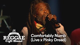 Vintage Reggae Café Band - Comfortably Numb (Live x Pinky Dread)