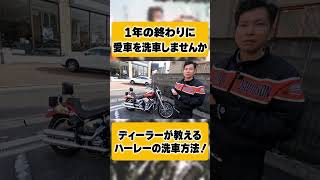 【年末大掃除】誰でも簡単にピカピカになるハーレーの洗車方法！#shorts