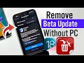 How To Remove iOS 18 Beta From iPhone | How to Remove iOS 18 Public From iPhone Without Computer |