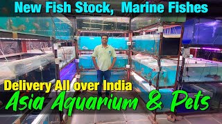 New Fish Stock at Asia Aquarium Store in Kalyan I Marine Fishes I Delivery Available All Over India