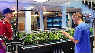 My local Aquarium fish store TOUR