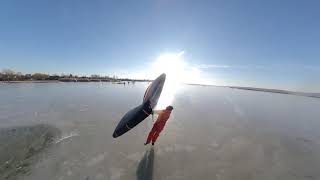 Gárdony Icewing and Icekite session