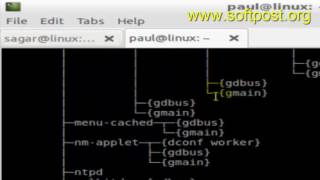 Difference between local shell variable and environment variable in BASH shell terminal
