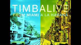 Timbalive - Ave Maria Que Calor