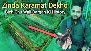 Zinda Karamat Dekho Aaj Bhi Hoti Hai | BichChu Wali Dargah Ki History |Shahe Wilayat Amroha Dargah