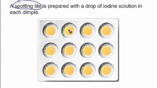 The starch & amylase experiment