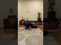 10 Day Hip Mobility Challenge Day 9 | Feldenkrais Style