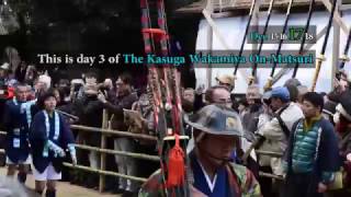 Hon Matsuri - Nara's biggest festival