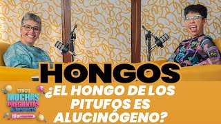 Ep. 22: Hongos | Tengo Muchas Preguntas Al Respecto