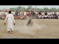 कालू पहलवान vs मोहम्मद गनी की कुश्ती दंगल black cobra pahlwan new kushti kala pehlwan ki kushti