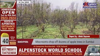 Miscreants chop off dozens of apple trees in Sumbal