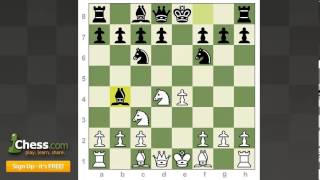 Chess Openings: How to Play the Scotch Game!