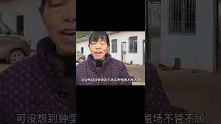 夫妻假離婚買房，沒想到丈夫暗地里去結了婚，真的是假戲真做！ #家庭糾紛 #家庭矛盾 #情感糾葛 #社會百態 #倫理道德