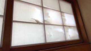 【環境動画投稿コーナー】障子を破いた犯人は！？（ぷーさん）