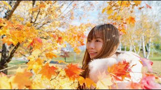 走，去看北海道楓紅花火! (幕後完整版)