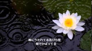 雨やどり（新沼謙治）・・カバー：サンアミーゴ